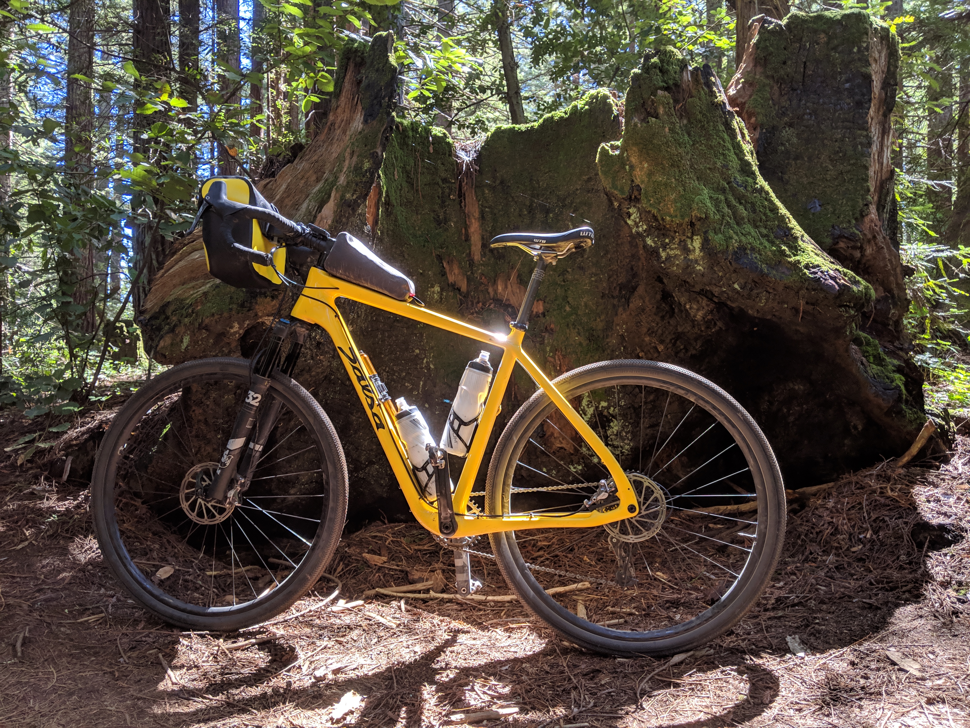 MVIMG_20190421_113129